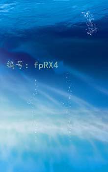 λ