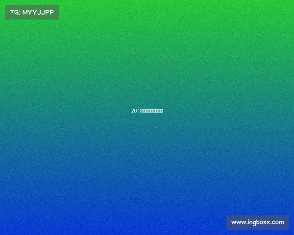 2018年国际龙舟赛视频