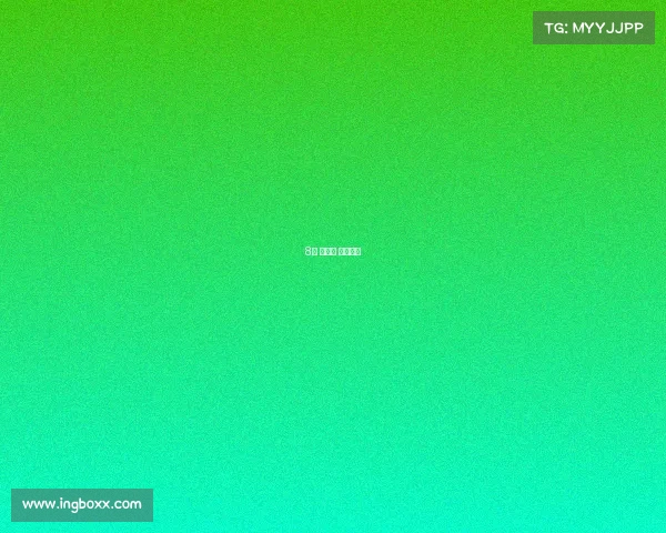 8月 洛杉矶 赛事时间 8月 洛杉矶 赛事时间