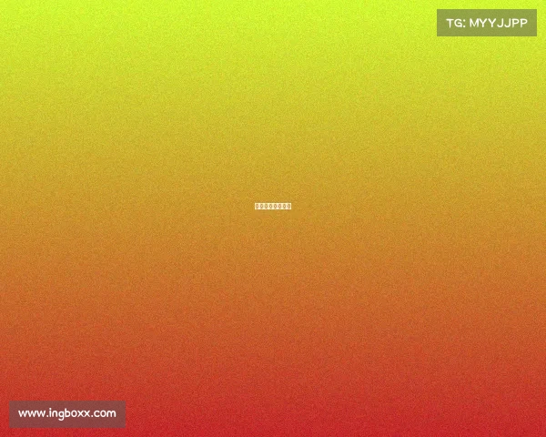 日职联的比赛集锦